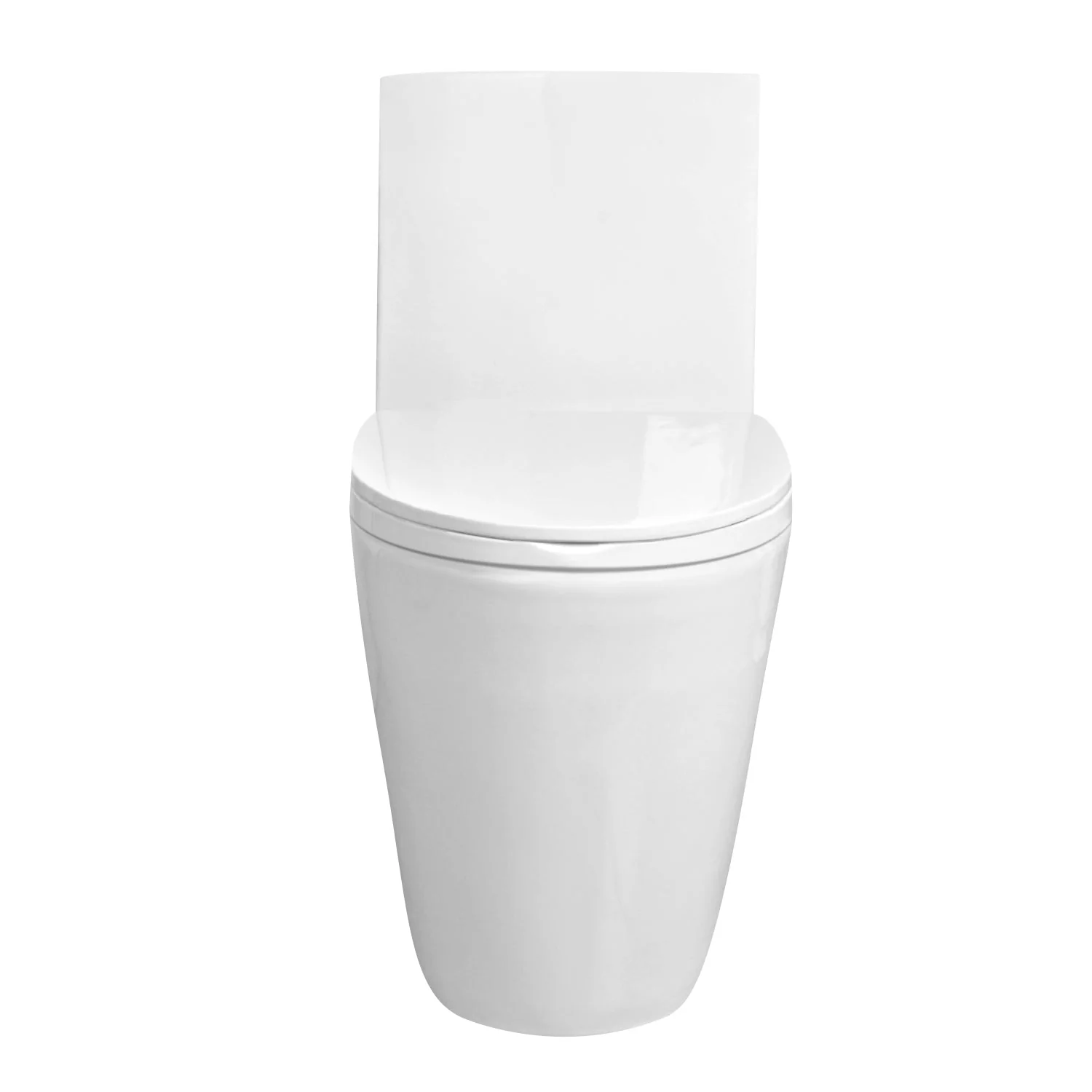 DeerValley DV-1F52102 One-piece Toilets Modern Fan Shape Seamless Comfort Dual-Flush 1.1/1.6 GPF - Image 13
