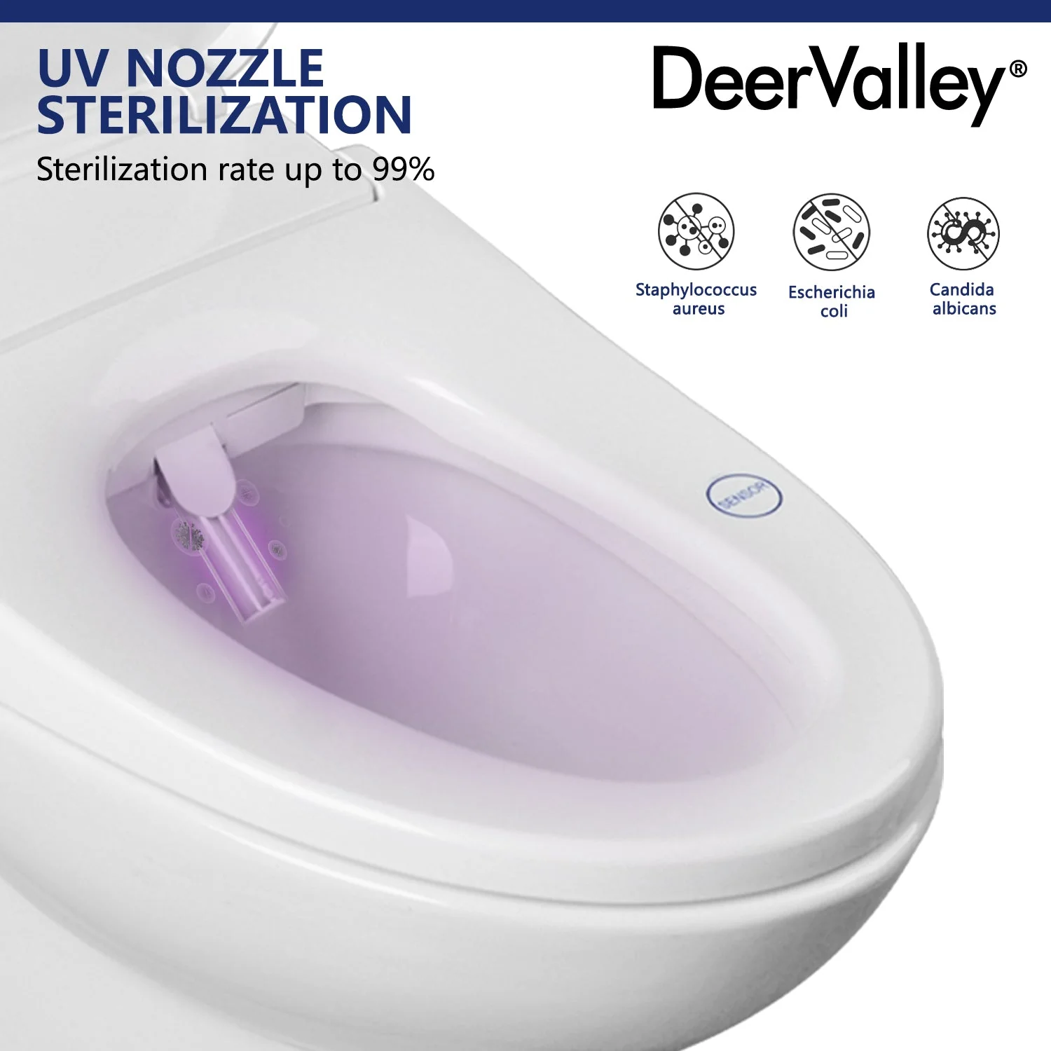 DeerValley DV-1S0018 Elongated Bidet Toilet Seat with Wireless Remote - Image 13