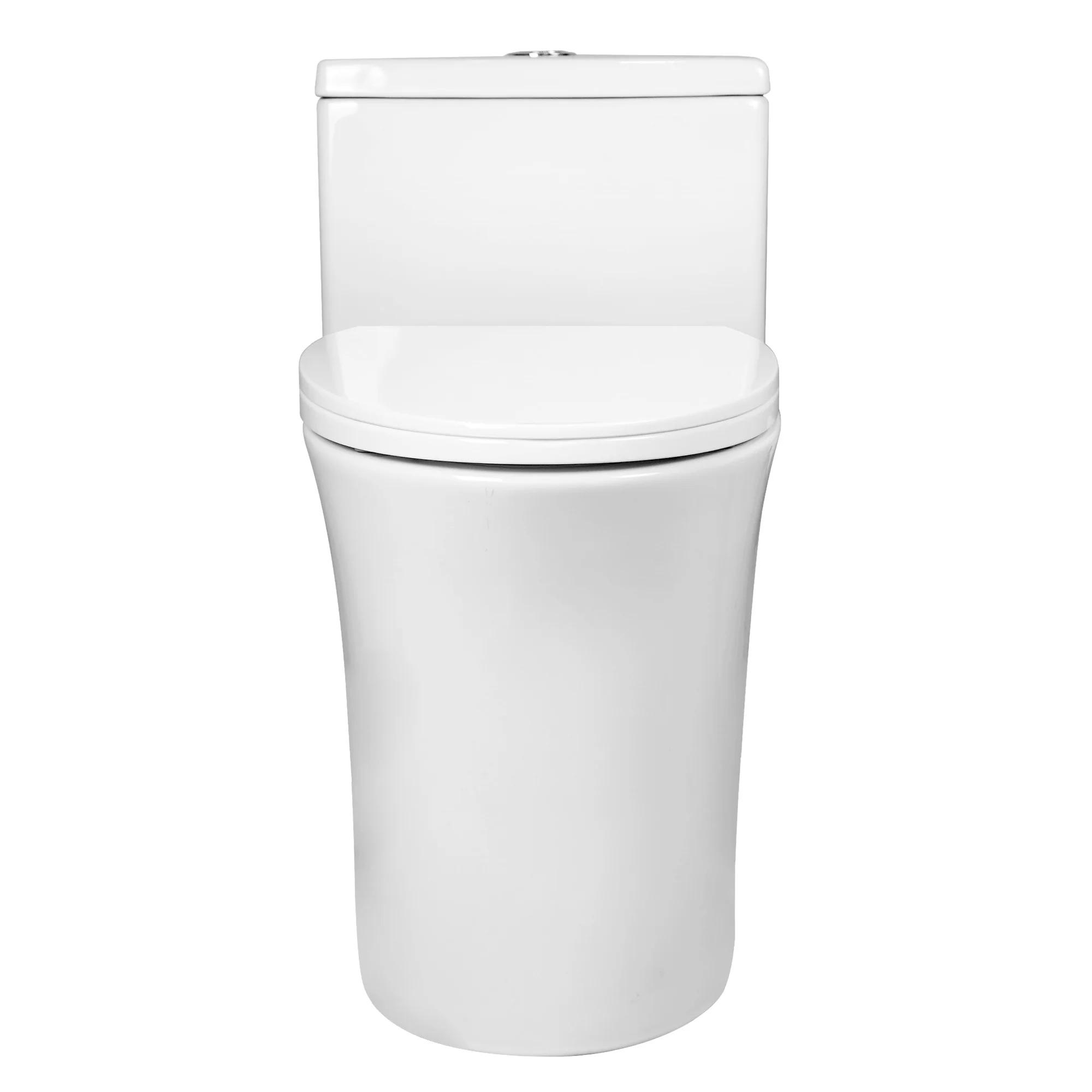 DeerValley DV-1F0437 One Piece Elongated Toilet – Dual Flush & Rimless, ADA Height, Seat Included - Image 11