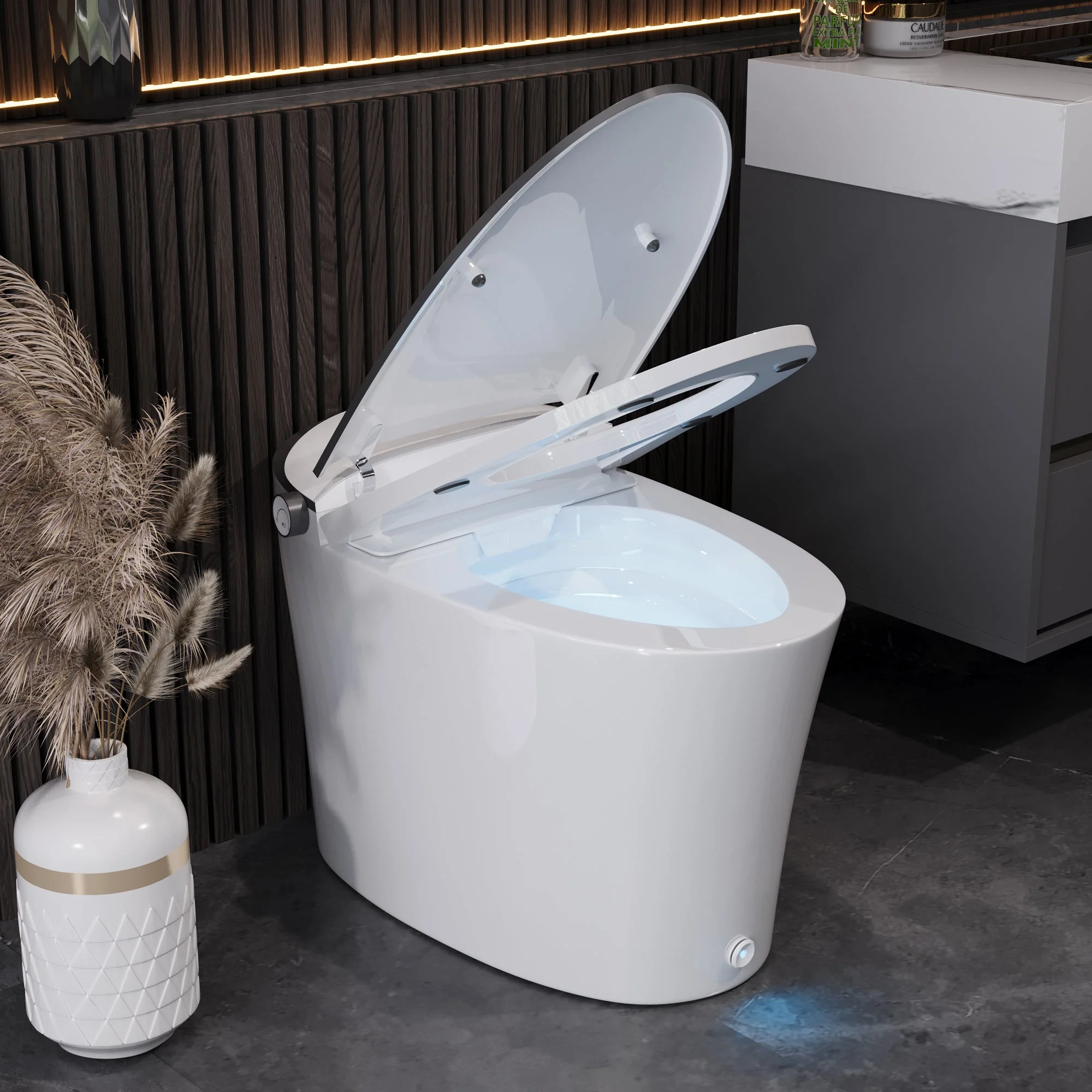 DeerValley DV-1S0019-V3 Smart Bidet Toilet with Purified Water Cleaning for Enhanced Hygiene - Image 3